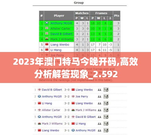 2023年澳门特马今晚开码,高效分析解答现象_2.592