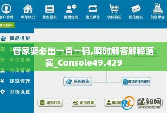 管家婆必出一肖一码,瞬时解答解释落实_Console49.429