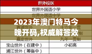 2023年澳门特马今晚开码,权威解答效果解析_多样版31.433