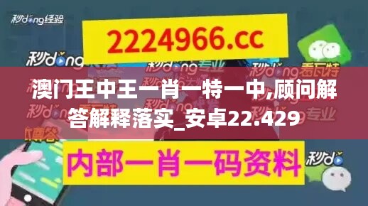 澳门王中王一肖一特一中,顾问解答解释落实_安卓22.429