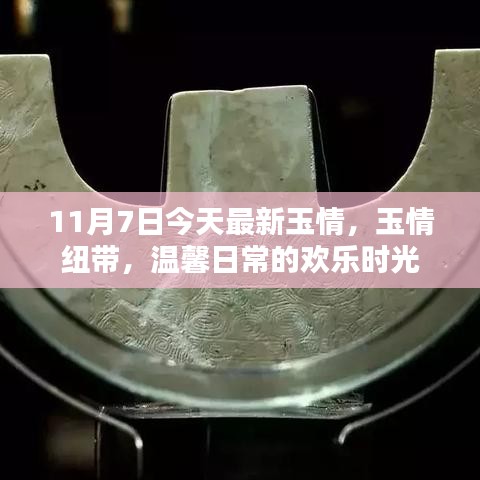 11月7日玉情纽带，温馨日常的欢乐时光