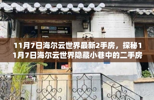 探秘海尔云世界隐藏小巷的二手房特色小店，最新房源一览（11月7日）