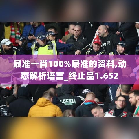 最准一肖100%最准的资料,动态解析语言_终止品1.652