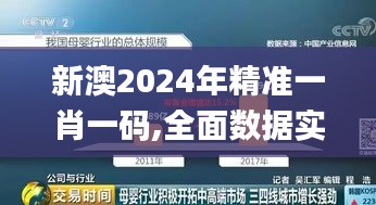 新澳2024年精准一肖一码,全面数据实施分析_修正版31.392