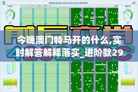 今晚澳门特马开的什么,实时解答解释落实_进阶款29.192