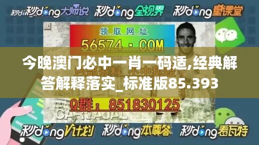 今晚澳门必中一肖一码适,经典解答解释落实_标准版85.393