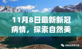 11月最新新冠疫情更新，自然之旅中寻找内心宁静与新希望