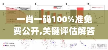 一肖一码100%准免费公开,关键评估解答解释策略_画面版9.265