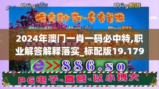 2024年澳门一肖一码必中特,职业解答解释落实_标配版19.179