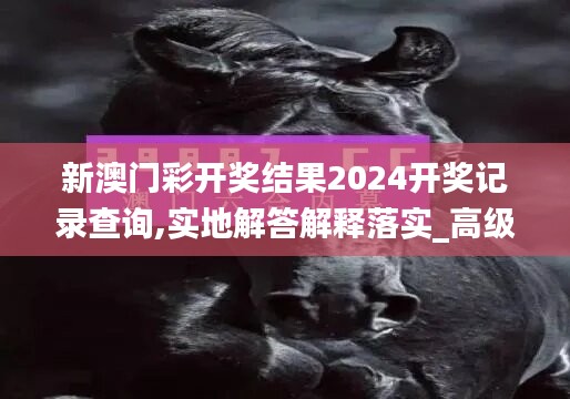 新澳门彩开奖结果2024开奖记录查询,实地解答解释落实_高级版49.516