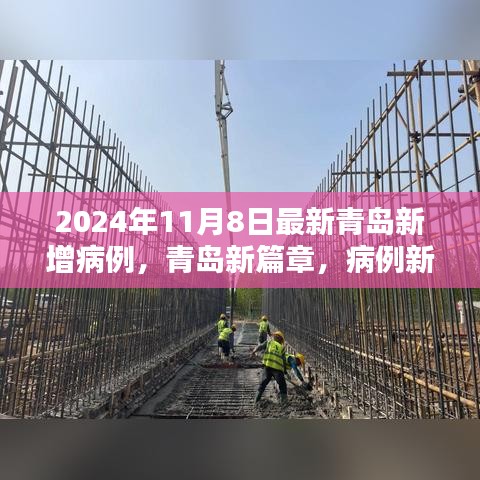 青岛新篇章，病例新增背后的力量与乐观旋律，最新青岛新增病例报道（2024年11月8日）