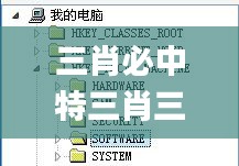 三肖必中特三肖三码,全方解答解释落实_X41.404