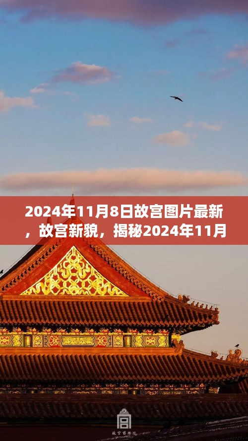 故宫新貌揭秘，历史长河与当代影响，最新图片展示（2024年11月8日）