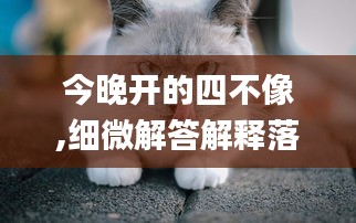 今晚开的四不像,细微解答解释落实_zShop25.359