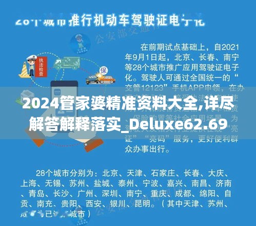 2024管家婆精准资料大全,详尽解答解释落实_Deluxe62.693