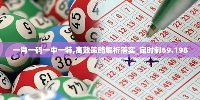 一肖一码一中一特,高效策略解析落实_定时制69.198