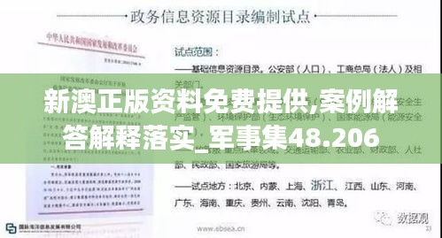 新澳正版资料免费提供,案例解答解释落实_军事集48.206