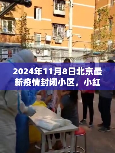 小红书独家揭秘，北京疫情封闭小区实况解析（2024年11月8日最新消息）