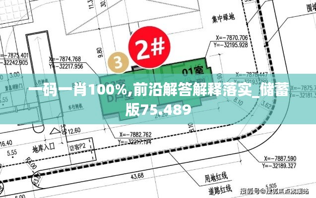 一码一肖100%,前沿解答解释落实_储蓄版75.489