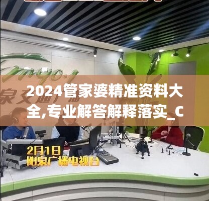 2024管家婆精准资料大全,专业解答解释落实_C版65.306