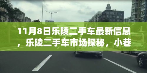 乐陵二手车市场最新探秘，隐藏宝藏与最新信息（11月8日更新）