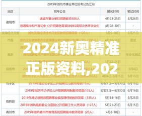 2024新奥精准正版资料,2024新奥精准正版资料大全 ,精密解答解释落实_Premium29.102