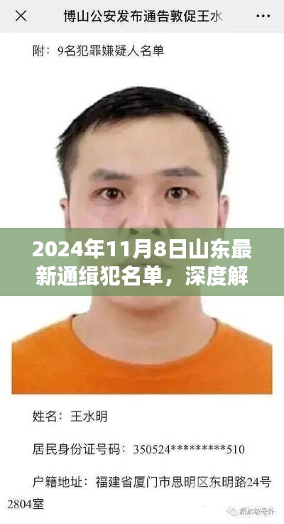 山东最新通缉犯名单深度解析，特点与揭秘