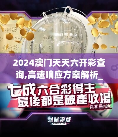 2024澳门天天六开彩查询,高速响应方案解析_白银版37.904