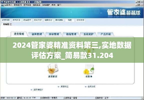 2024管家婆精准资料第三,实地数据评估方案_简易款31.204