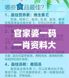 官家婆一码一肖资料大全,高效管理解答解释现象_清凉版80.663