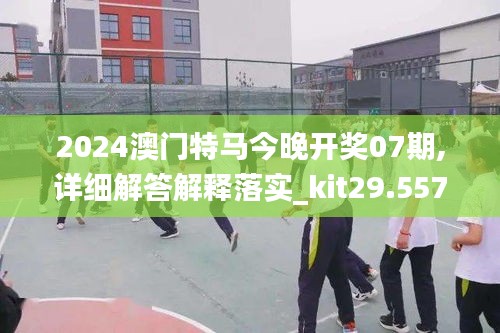 2024澳门特马今晚开奖07期,详细解答解释落实_kit29.557