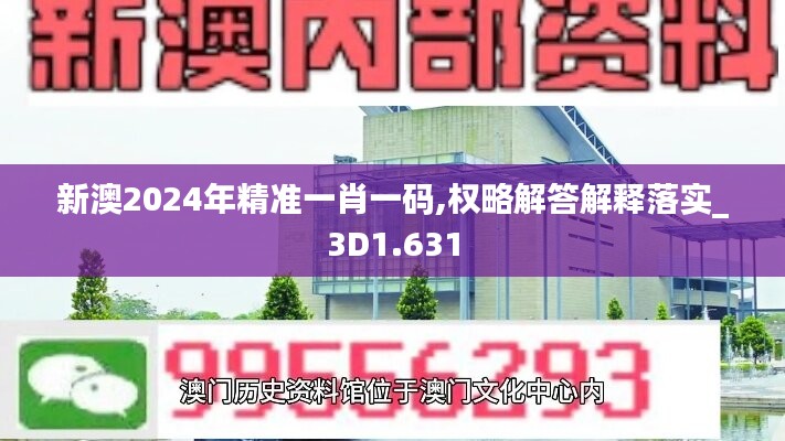 新澳2024年精准一肖一码,权略解答解释落实_3D1.631