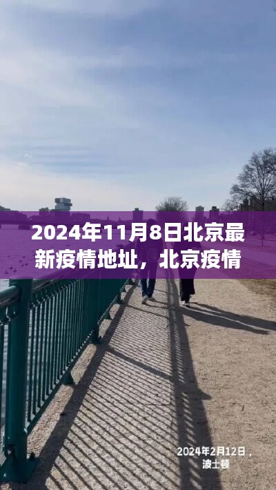 北京疫情下的友情之旅，温馨日常与不期而遇的友谊（2024年11月8日最新疫情背景）