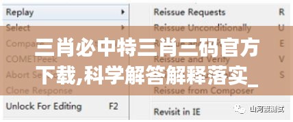 三肖必中特三肖三码官方下载,科学解答解释落实_工具版44.695