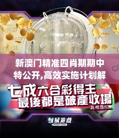 新澳门精准四肖期期中特公开,高效实施计划解析_BT集21.275