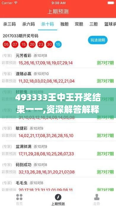 493333王中王开奖结果一一,资深解答解释落实_微型版10.406