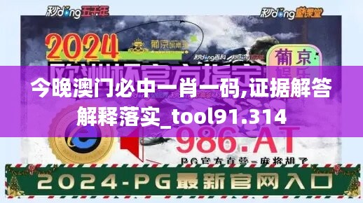 今晚澳门必中一肖一码,证据解答解释落实_tool91.314