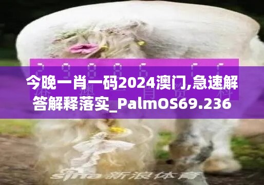 今晚一肖一码2024澳门,急速解答解释落实_PalmOS69.236