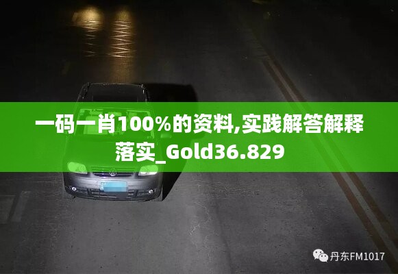 一码一肖100%的资料,实践解答解释落实_Gold36.829