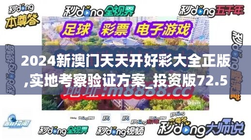 2024新澳门天天开好彩大全正版,实地考察验证方案_投资版72.556