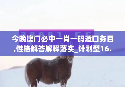 今晚澳门必中一肖一码适囗务目,性格解答解释落实_计划型16.124