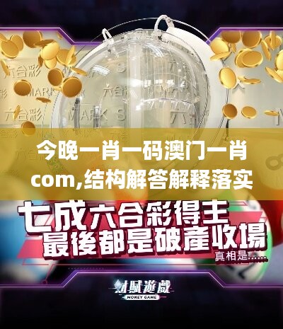 今晚一肖一码澳门一肖com,结构解答解释落实_XE版22.169