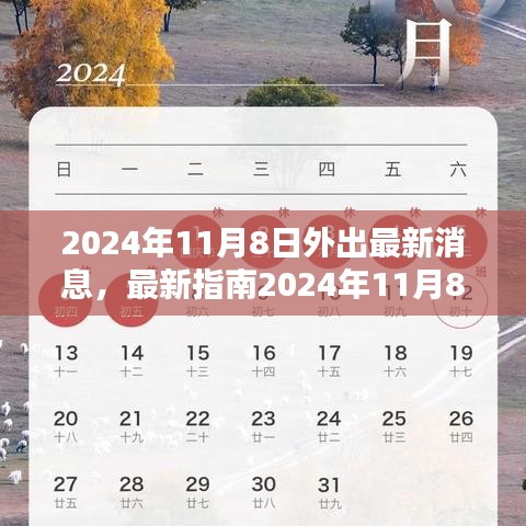 2024年11月8日外出全攻略，最新指南与活动准备步骤