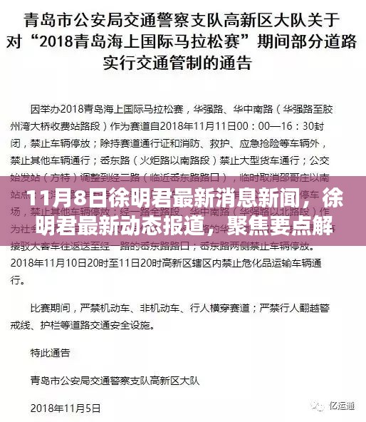 徐明君最新动态报道及焦点解析，11月8日新闻聚焦