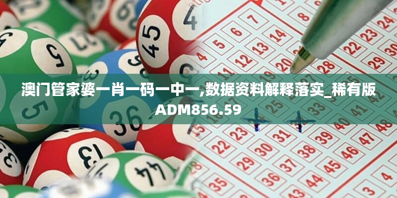 澳门管家婆一肖一码一中一,数据资料解释落实_稀有版ADM856.59