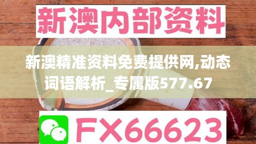 新澳精准资料免费提供网,动态词语解析_专属版577.67