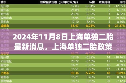 2024年上海单独二胎政策最新动态与展望解析