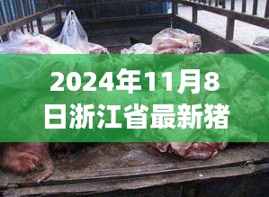 探秘浙江隐秘猪肉行情，特色小店与小巷深处的猪肉香——2024年最新行情报道