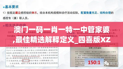 澳门一码一肖一特一中管家婆,最佳精选解释定义_四喜版XZW619.95