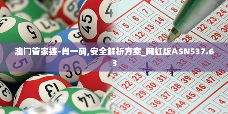 澳门管家婆-肖一码,安全解析方案_网红版ASN537.63